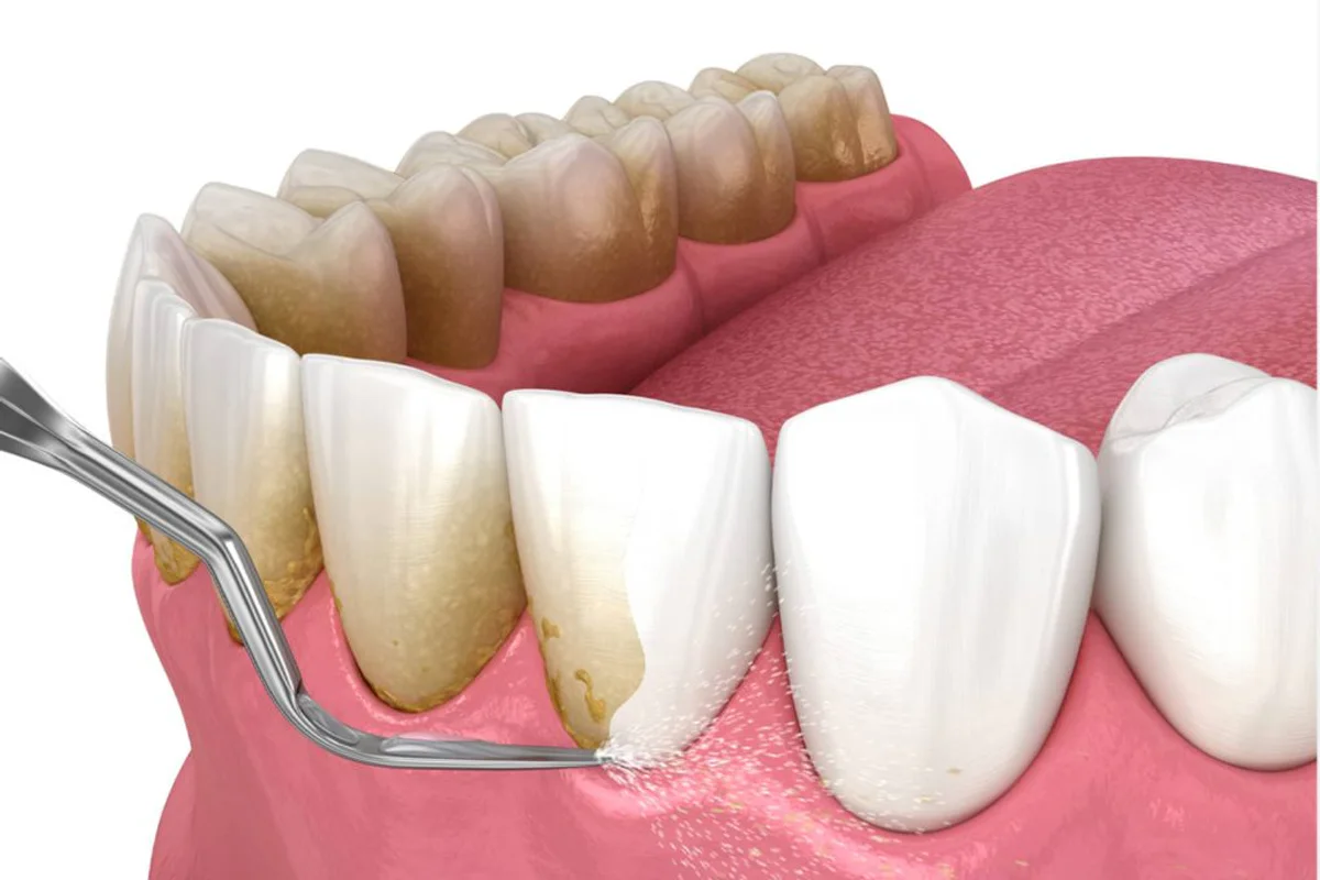 The One Dental Studio clinic photo 3